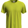 Stedman Classic-T Classic-T – 3XL, Bright Lime-BLI