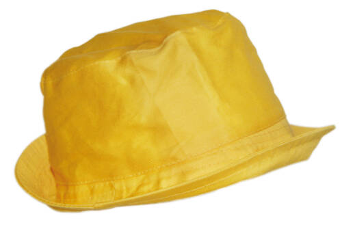 LINOTEX Sonnenhut