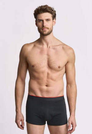 Promodoro Mens Shorts